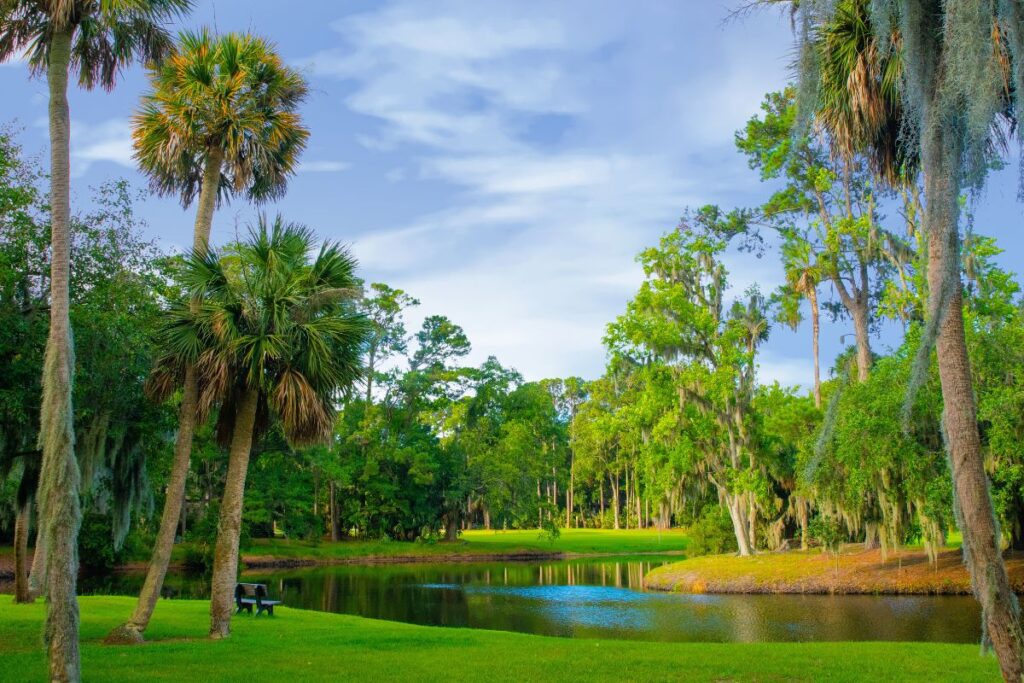 Hilton Head marsh scene with large palmetto trees and a lagoon