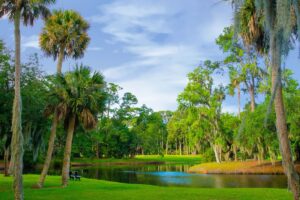 Hilton Head marsh scene with large palmetto trees and a lagoon