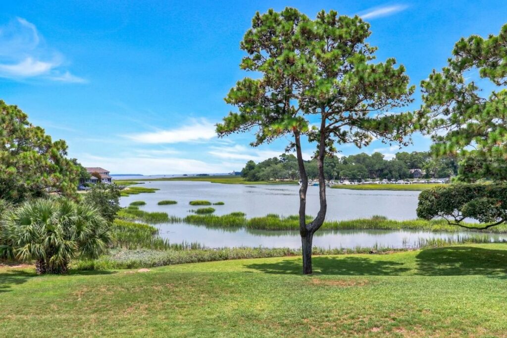 View of lagoon and trees with verdant green grass